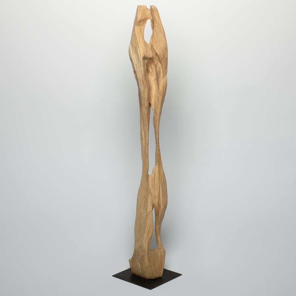 Sculpture Thierry Colson  2026 ( Inconnu)