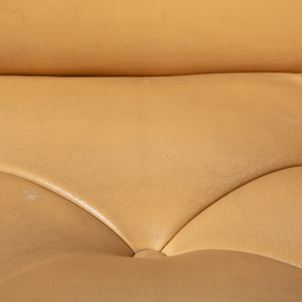 8082_4133287.jpg