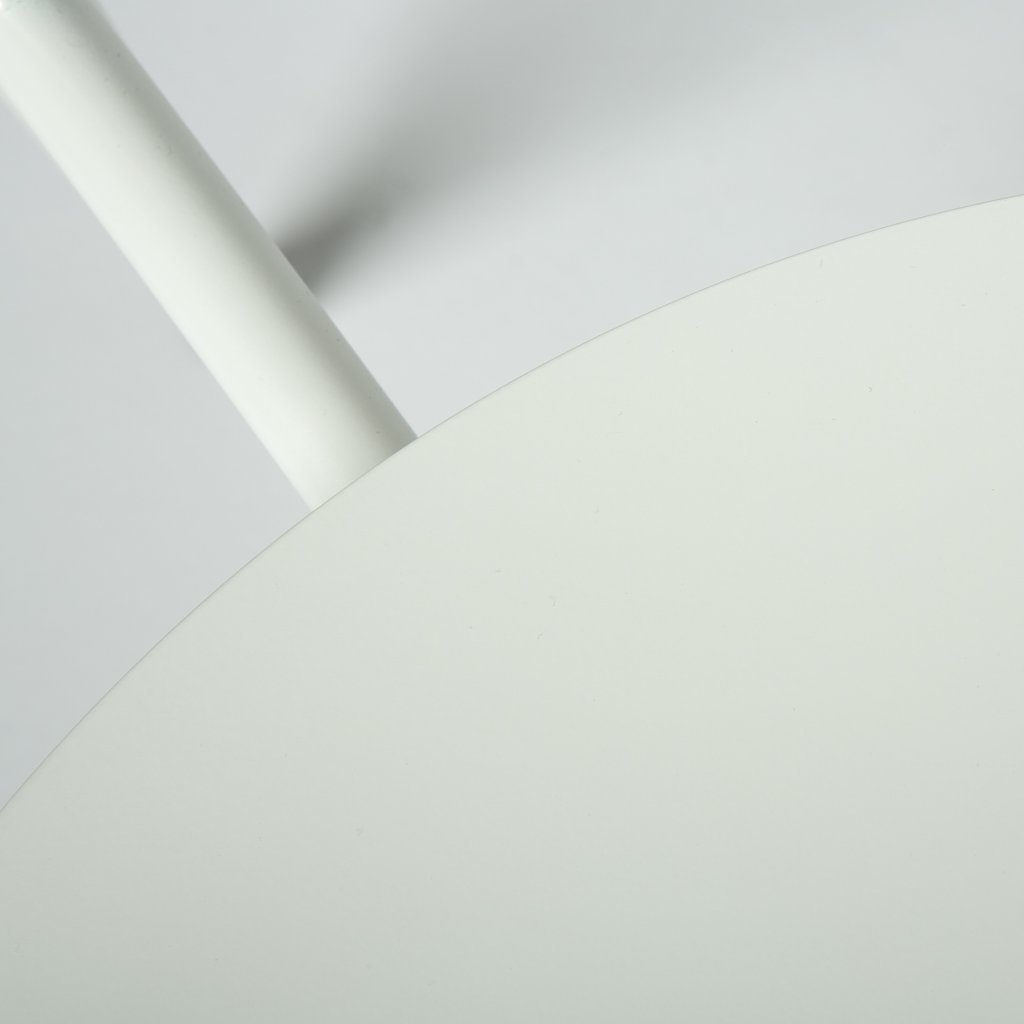 8096_4133362.jpg