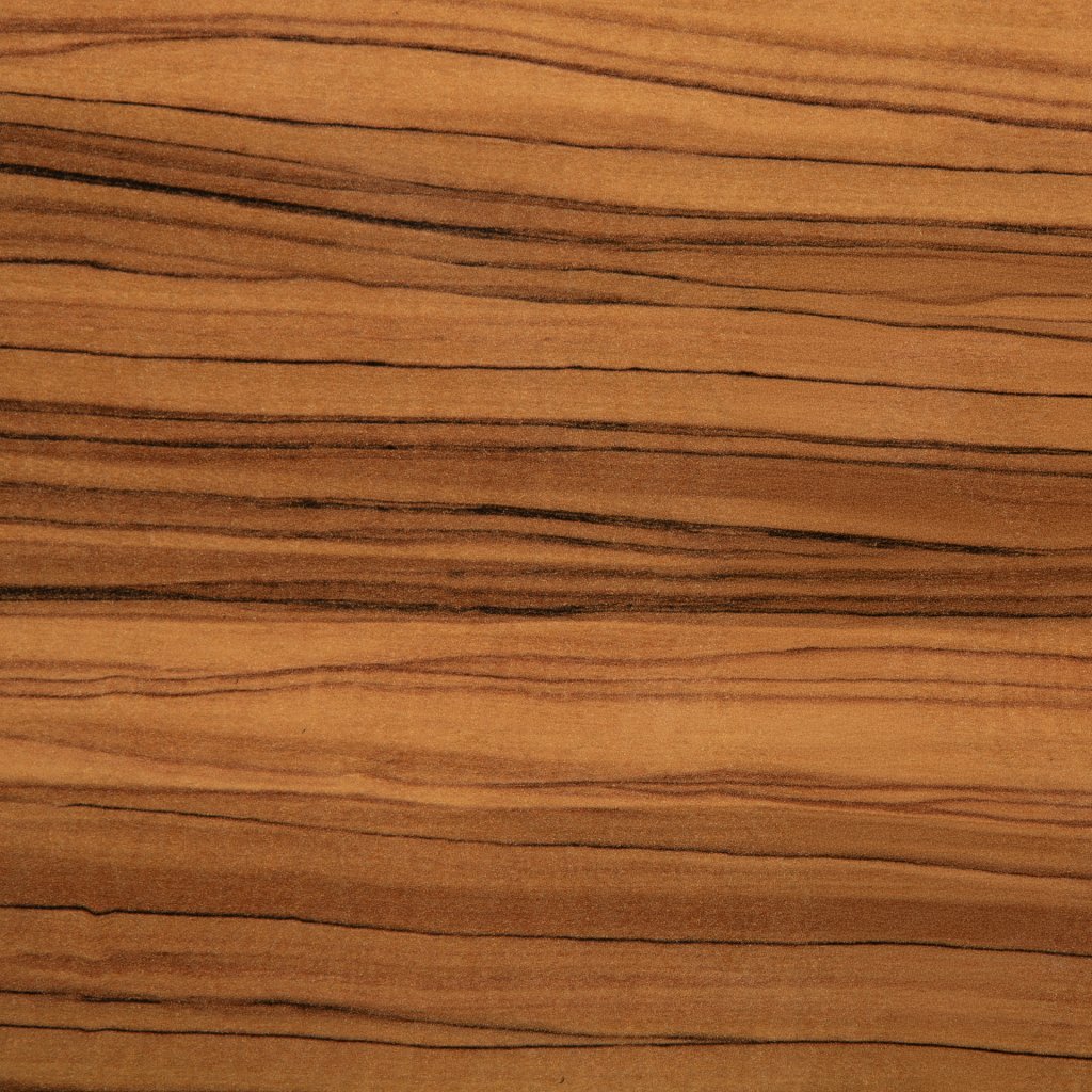 8113_4133310.jpg