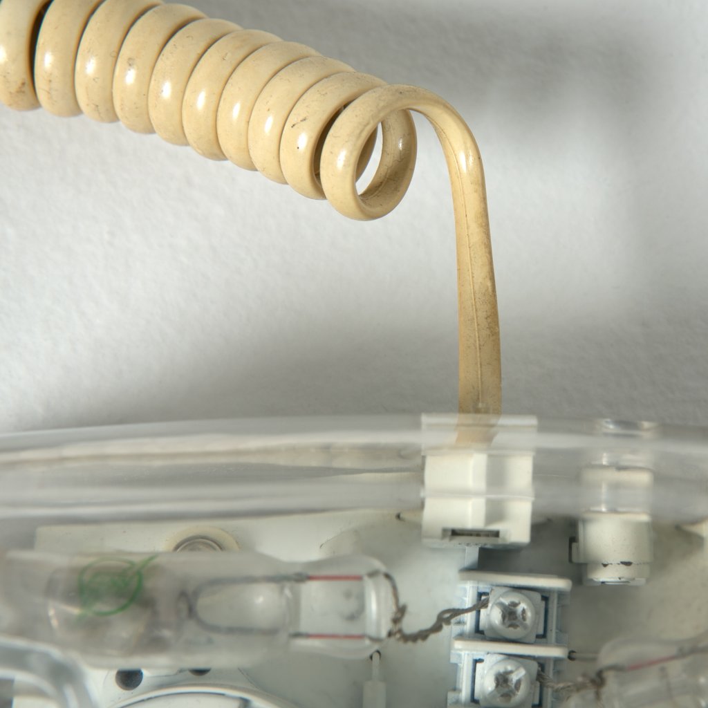 8161_4133542.jpg