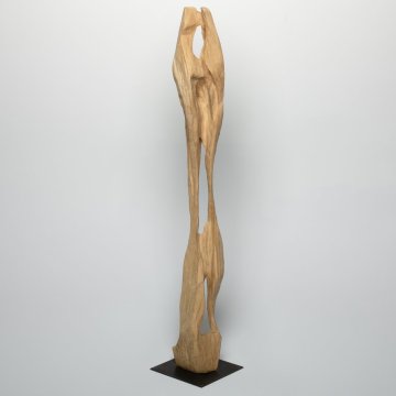 Sculpture Thierry Colson  2026 ( Inconnu)